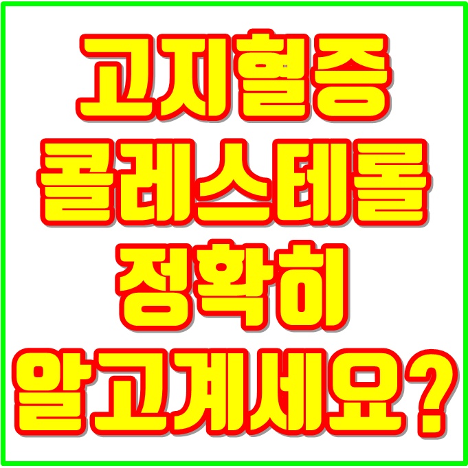  콜레스테롤과 고지혈증 알아보기