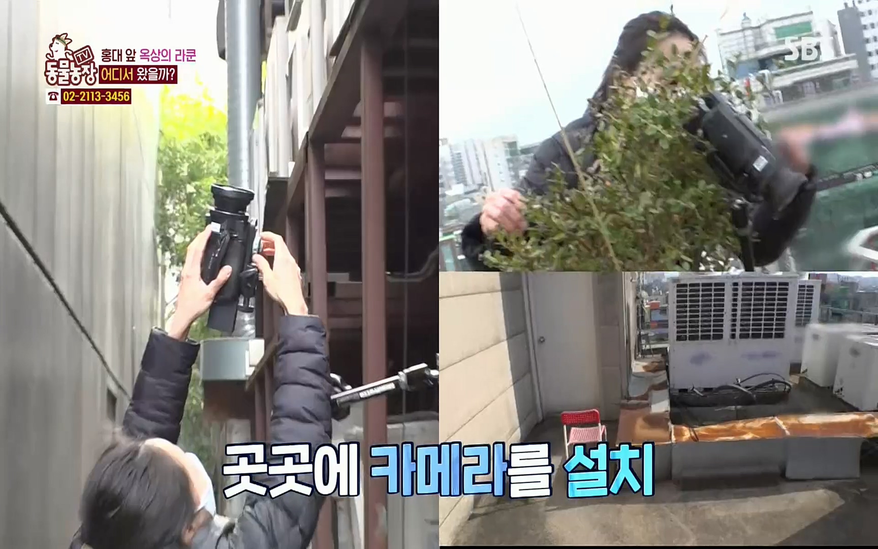 TV 동물농장.E1066.220424p.H264-F1RST.mp4_20220424_201027.635.jpg