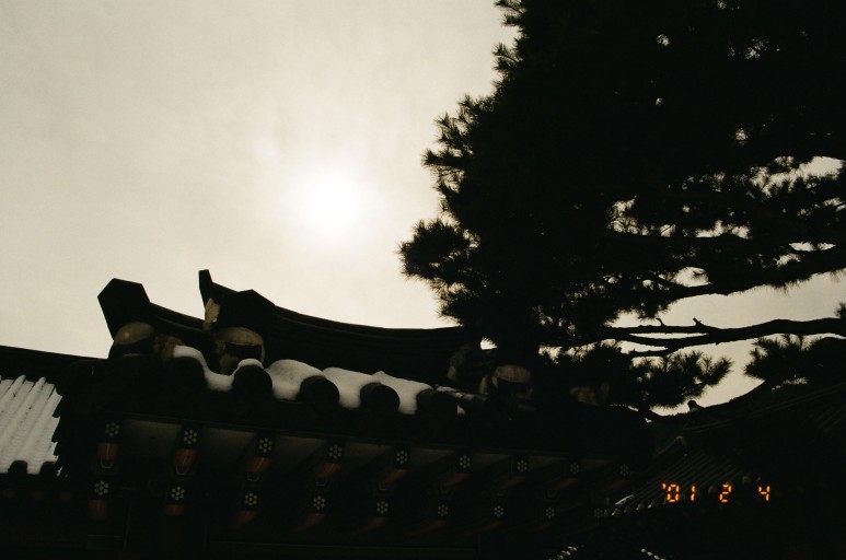 중고 펜탁스 SF7 자동차 필름 카메라 이야기. 결과는 9개월만에 나왔다. 7