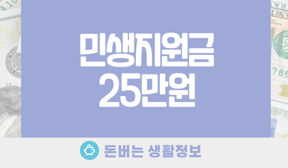 민생지원금 25만원