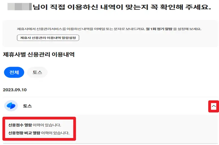 나이스-지키미-홈페이지-제휴사-내-신용정보-조회-내역-확인-화면