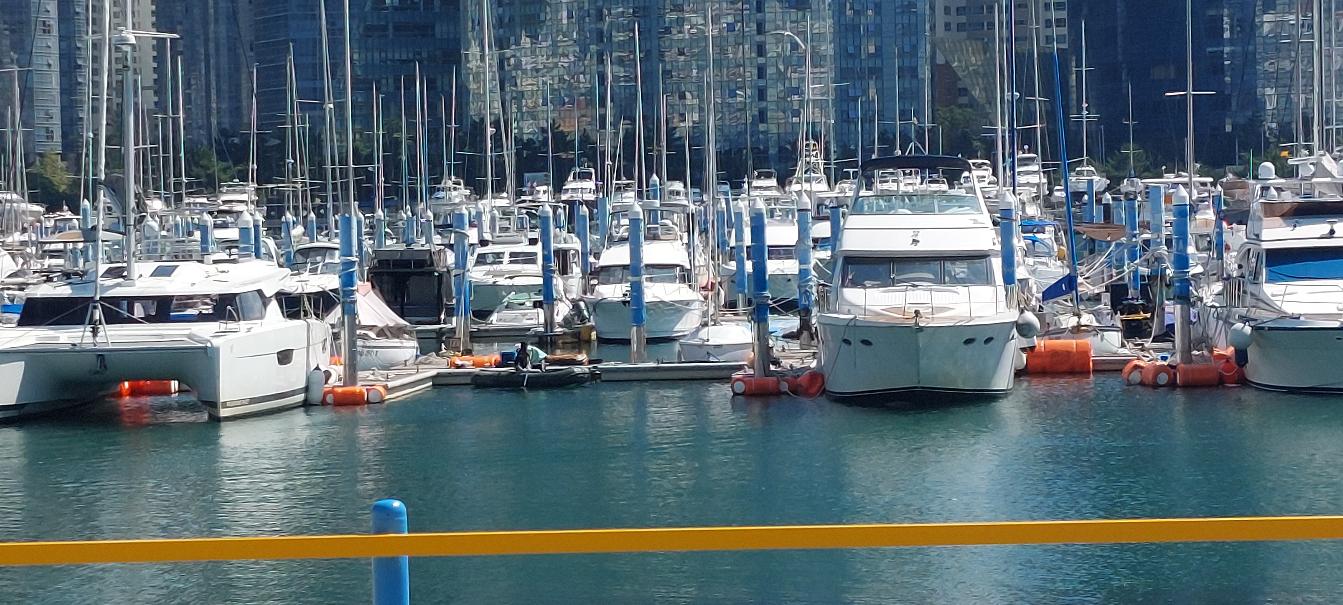  [부산 요트 투어] BUSAN IS GOOD FOR YACHT TOUR
