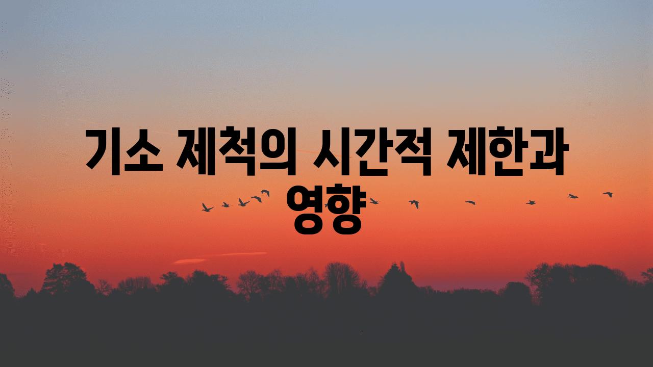 기소 제척의 시간적 제한과 영향