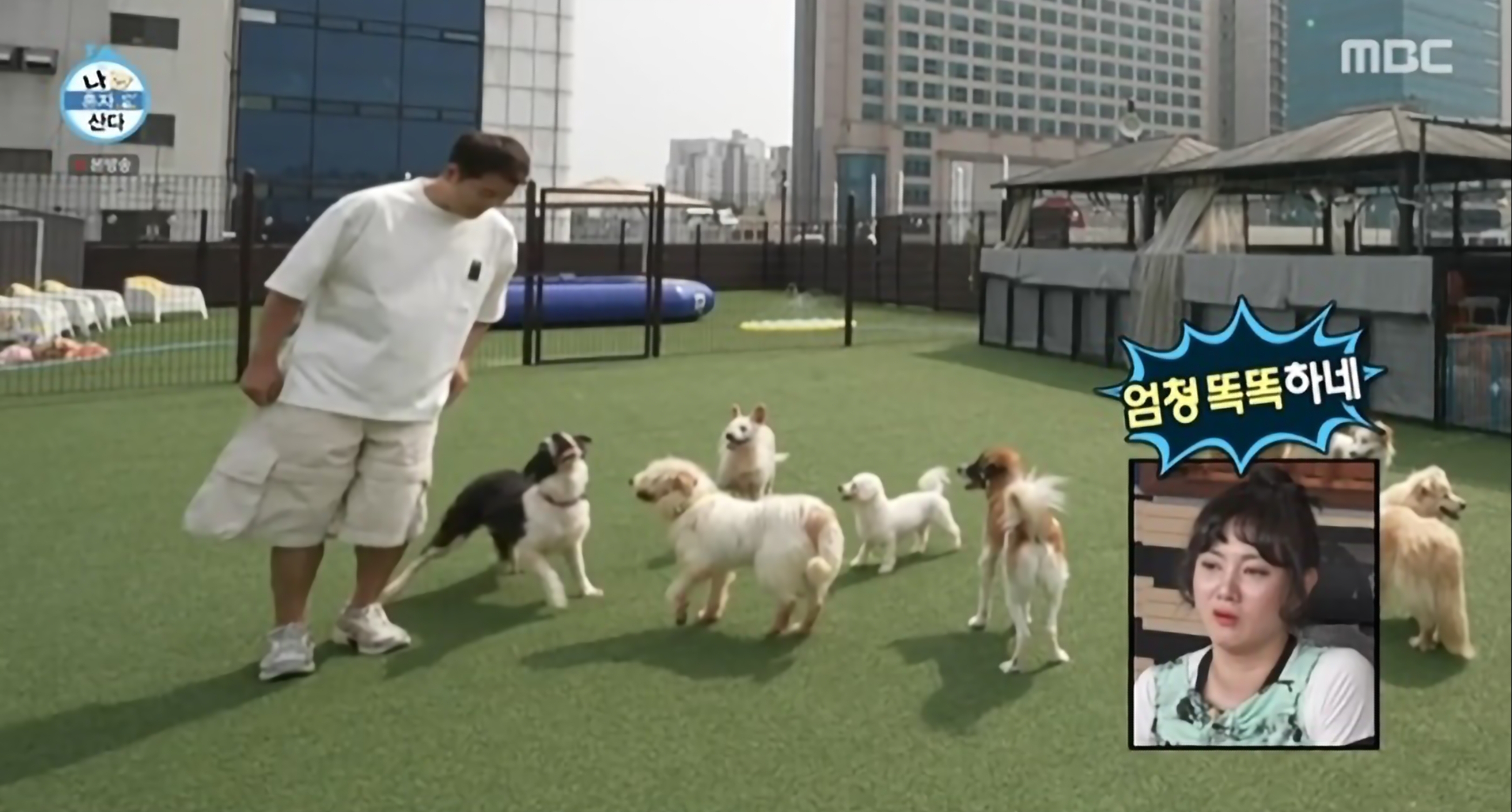 전현무