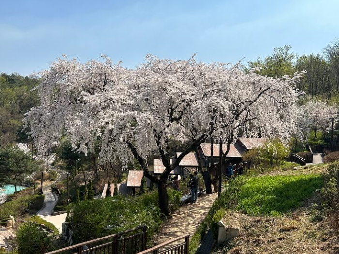 식물들이-있는-풍경을-찍은-사진