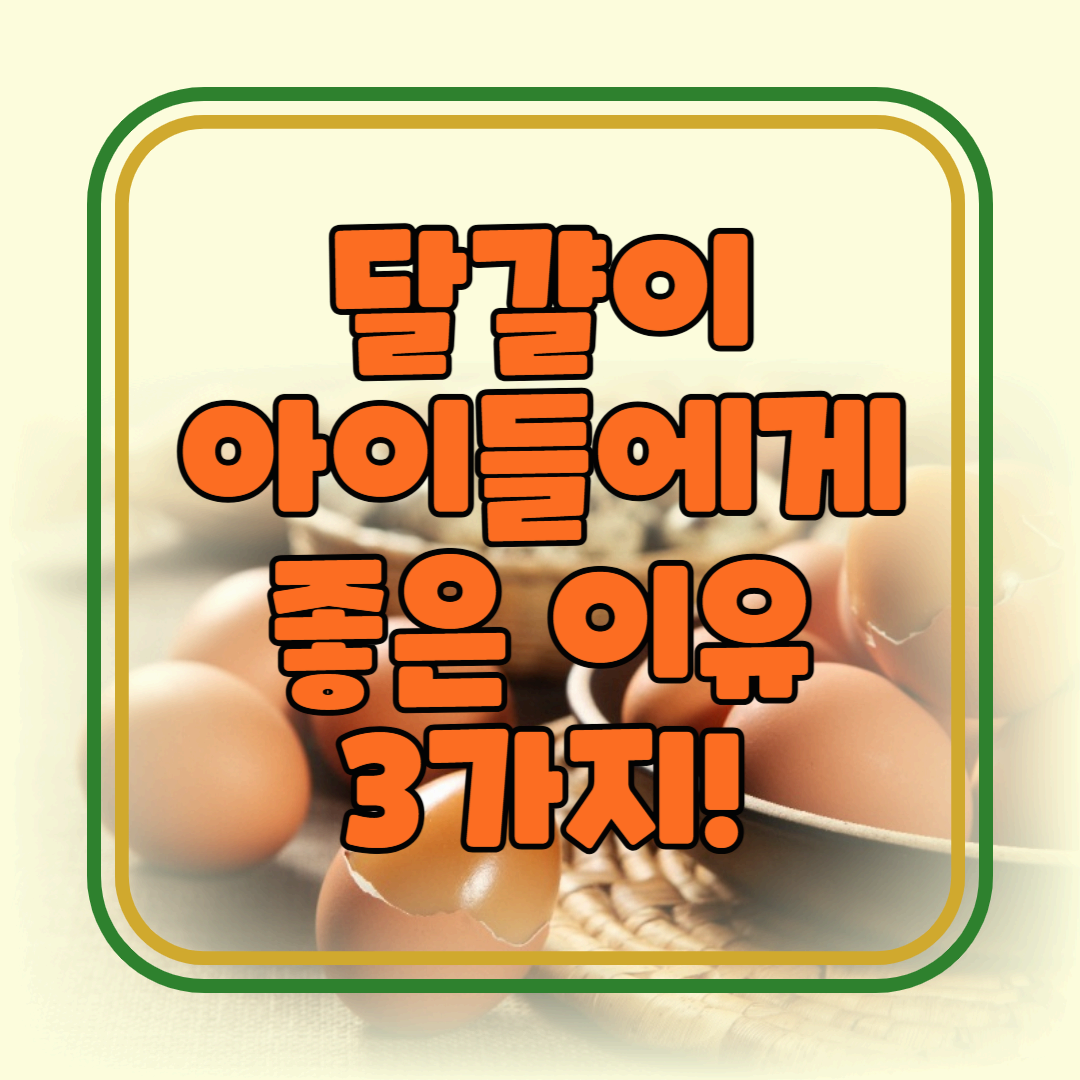 달걀이 아이들에게 좋은 이유 3가지!