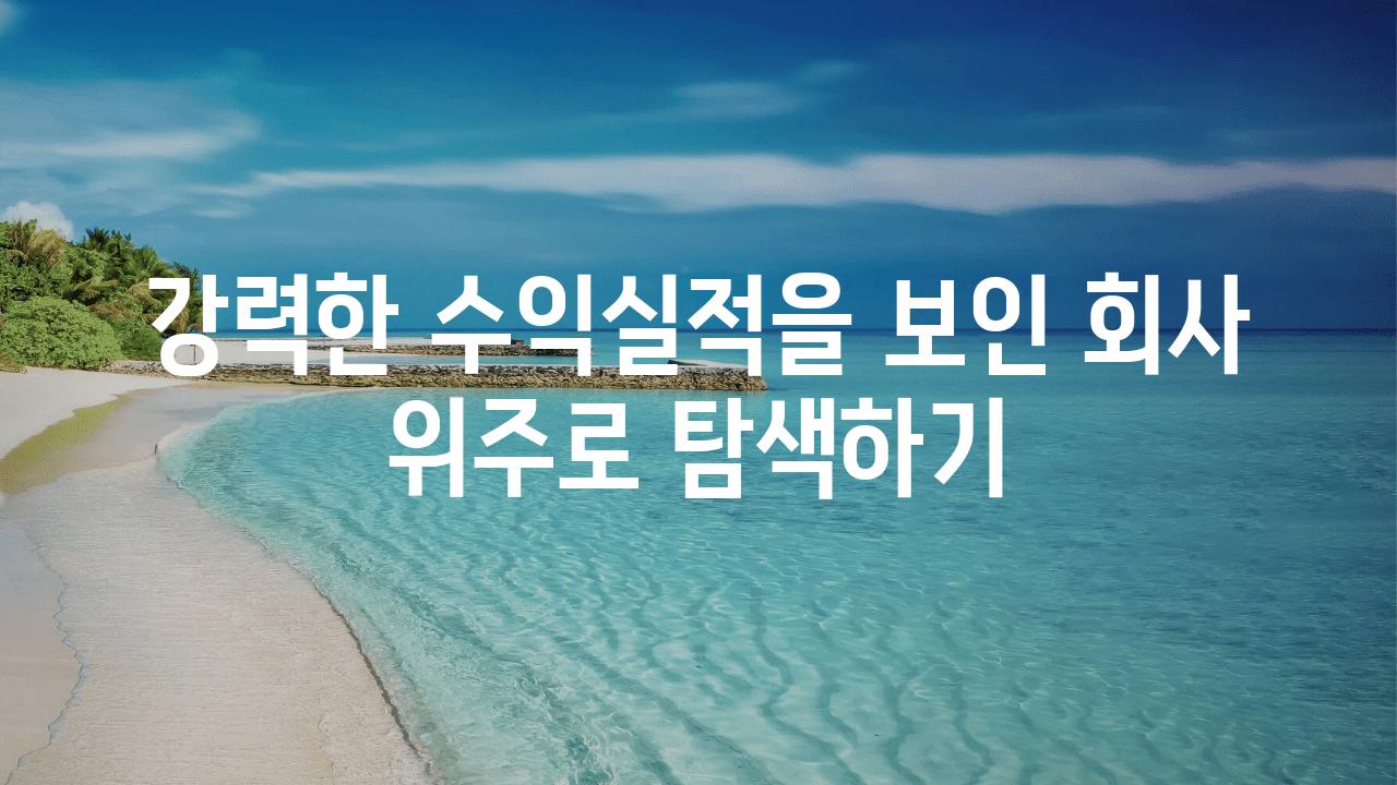 강력한 수익실적을 보인 회사 위주로 탐색하기