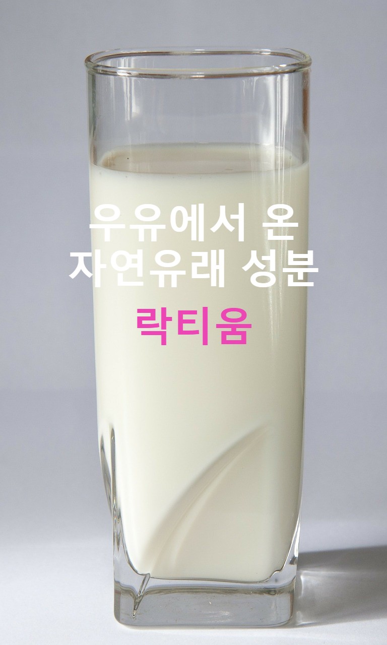  락티움 효능과 부작용 자연에서 온 선물