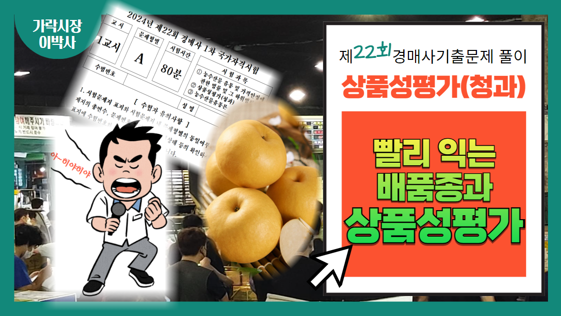 [제22회 경매사 기출문제풀이-청과부류 상품성평가(27)] 경매사가 되려면 "배" 품종의 숙기와 상품성 평가에 대해서 알아야 하는거 아니요?
