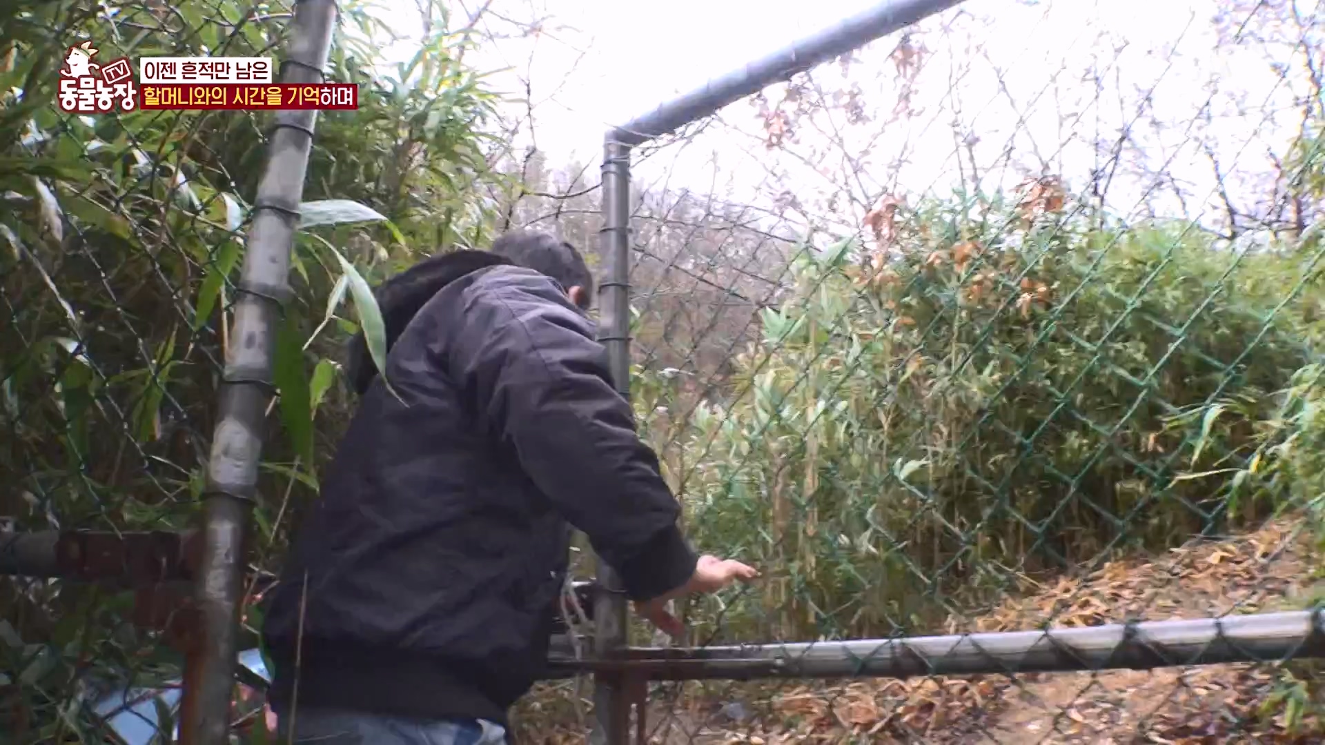 TV 동물농장.E1162.240310p-NEXT.mp4_20240310_162846.892.jpg