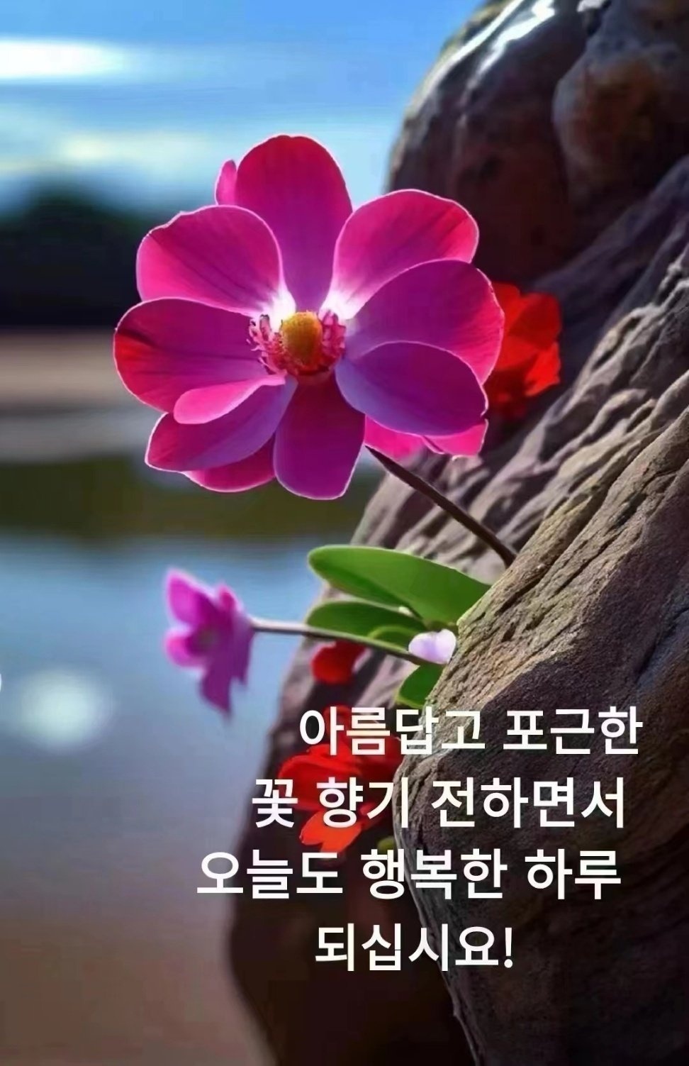  오늘의 좋은글 306번째 성공할 확률은 노력에도 불구하고 실수를 하는 사람이 전혀 시도하지 않는 사람보다 성공 확률이 높다