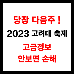 2023 고려대 축제