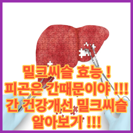  밀크씨슬 효능, 밀크씨슬 복용 방법 밀크씨슬이 주는 건강의 이점 오늘도 피곤은 간때문이야 !