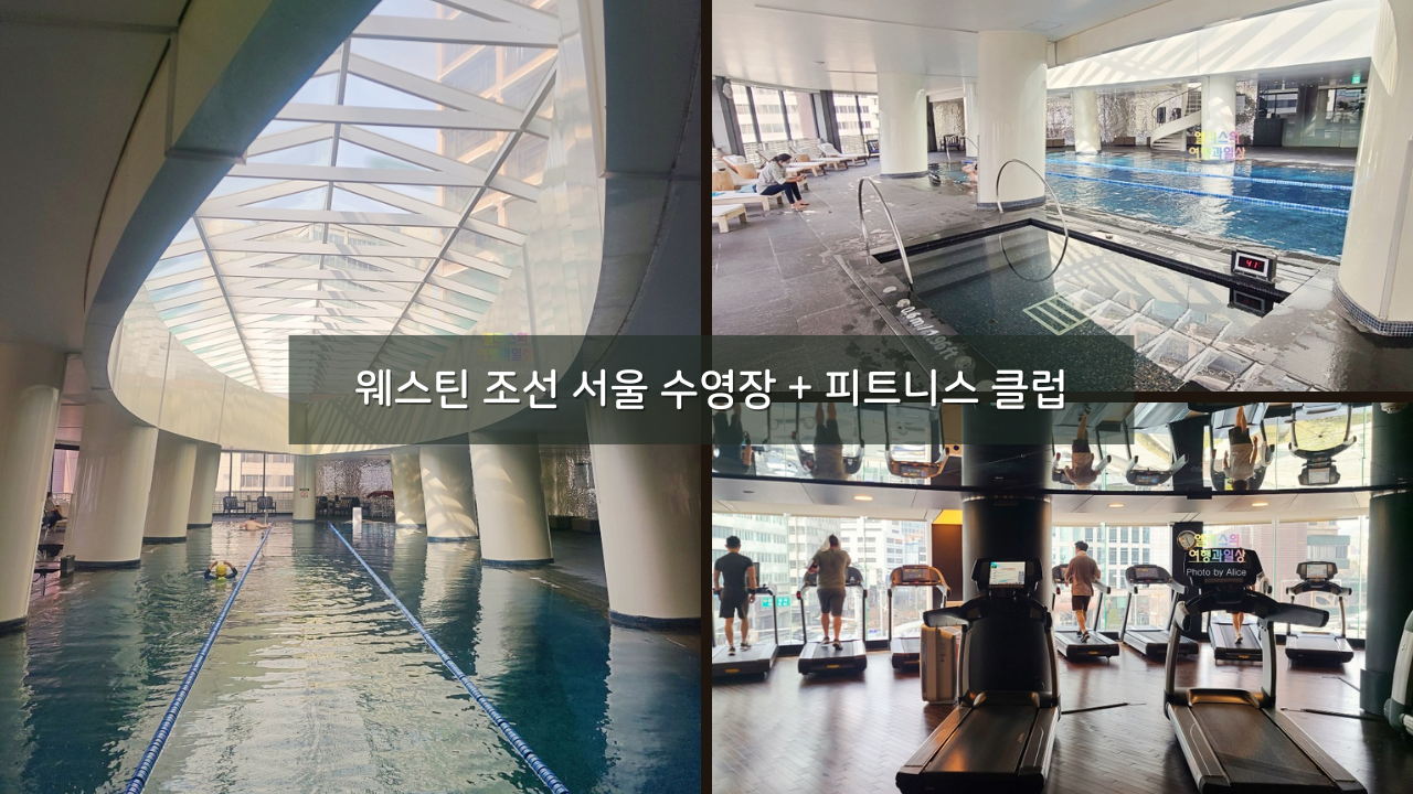 웨스틴 조선 서울 수영장 + 피트니스 클럽 후기