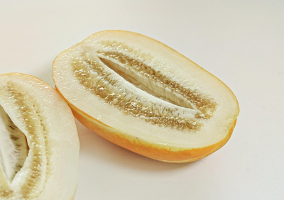 반으로 잘린 참외 단면