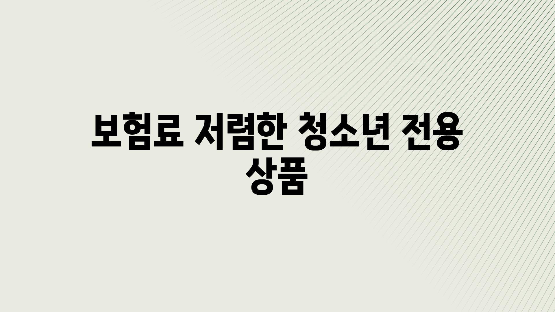 보험료 저렴한 청소년 전용 상품