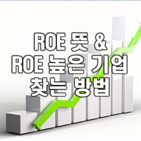  ROE란 무엇이며, ROE 높은 기업 찾는 방법(주식용어)