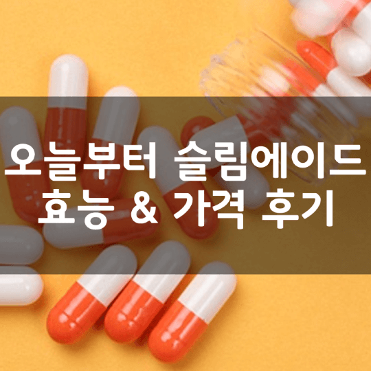 오늘부터-슬림에이드-의미-성분-효능-복용법-가격-내돈내산-후기-추천-총정리
