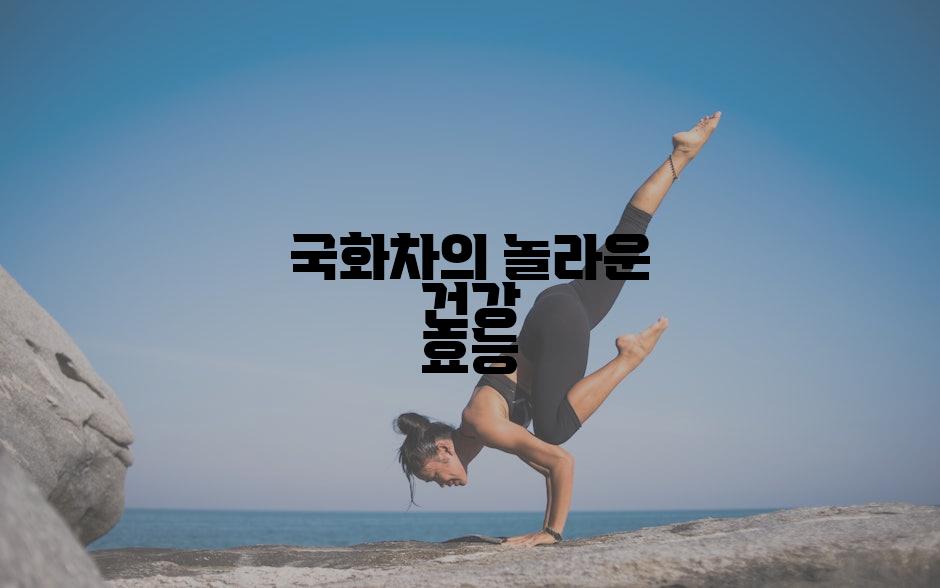 국화차의 놀라운 건강 효능