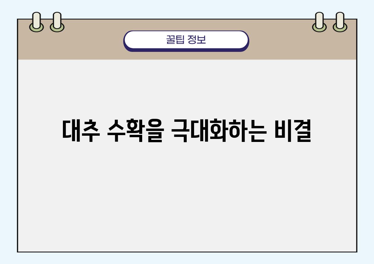 대추 수확을 극대화하는 비결