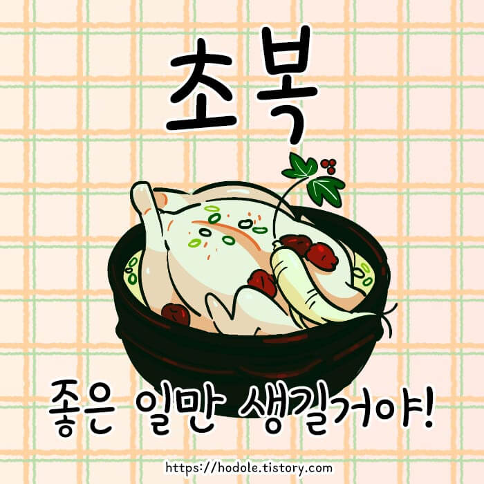 초복카톡이미지