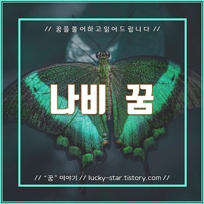  【꿈해몽/꿈풀이】나비 꿈