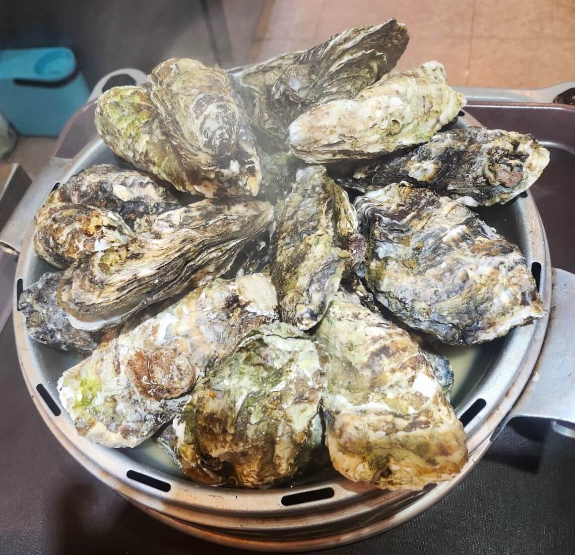 생방송투데이 오픈런빨라야 먹는다! 원주 조개구이 조개찜 맛집 통큰조개회