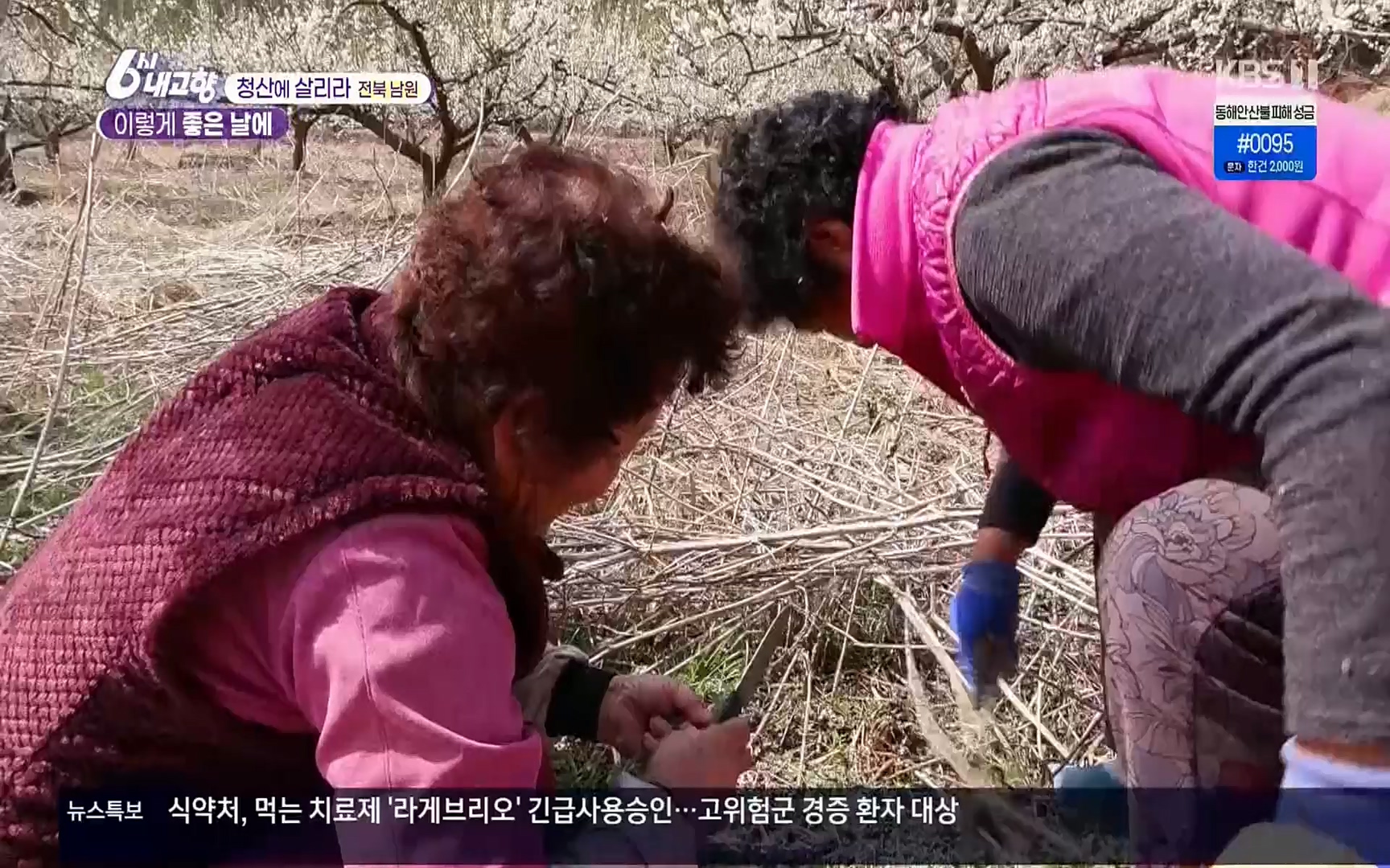 6시 내고향.E7496.220324p.H264-F1RST.mp4_20220328_181619.542.jpg