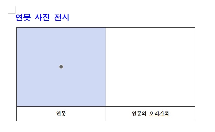아래한글-표-그림-삽입