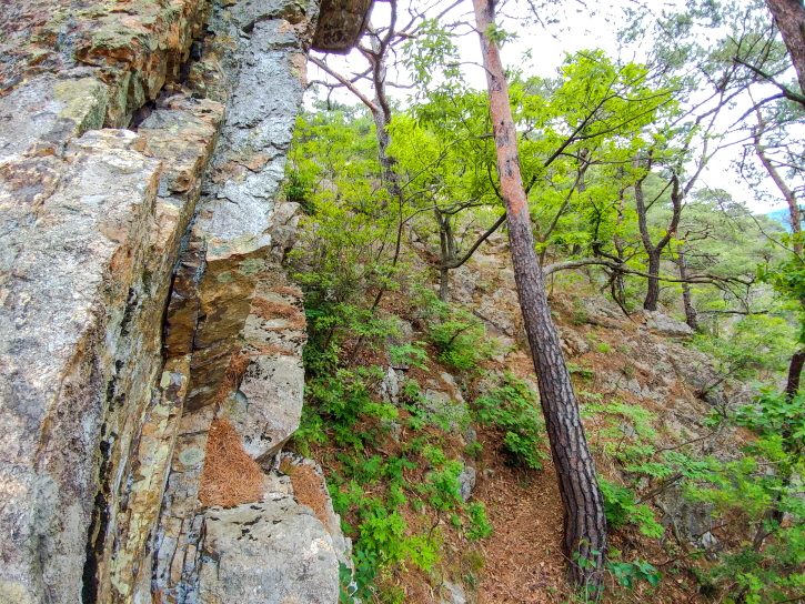 한국 명산 충북 괴산 청화산 등산 mountain hiking