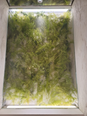 새틴 투명 유리