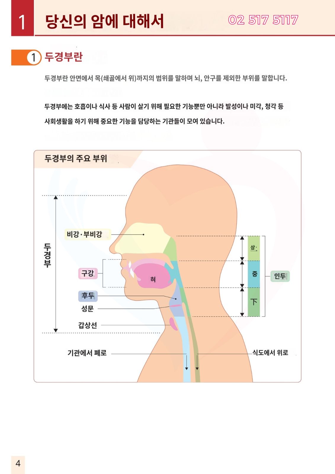 두경부암 광면역치료