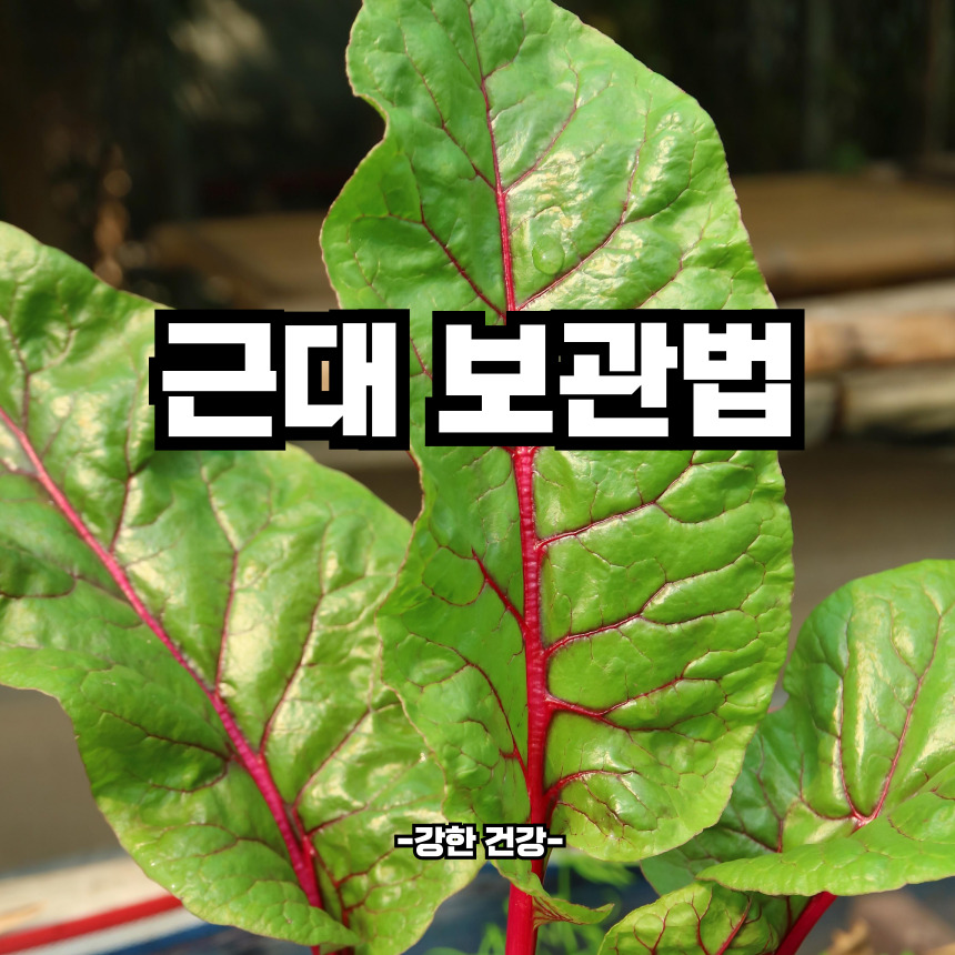 근대 보관법
