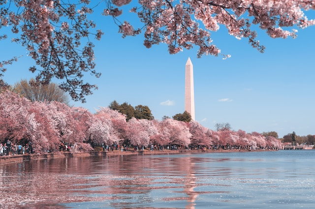 washington monument