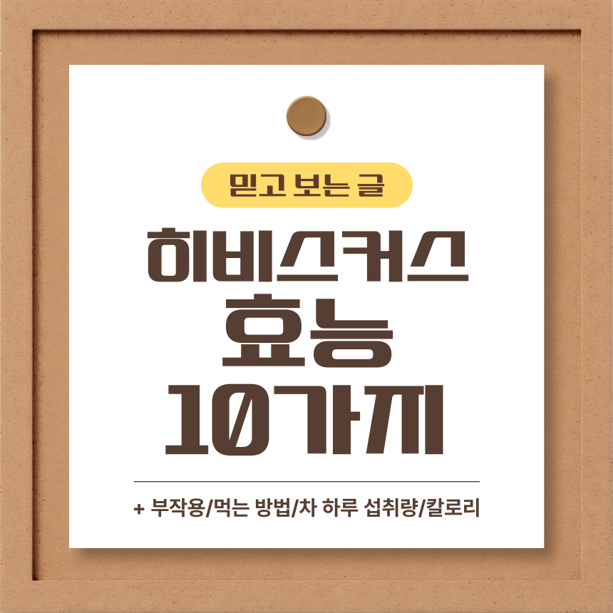 히비스커스 효능