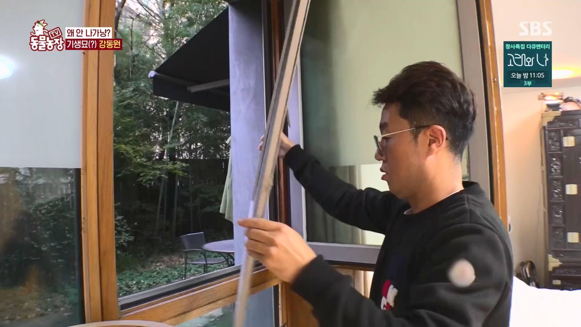 TV 동물농장.E1148.231203p.H264-F1RST.mp4_20231203_165834.117.jpg