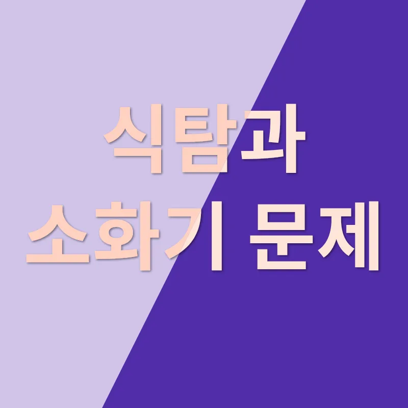 스핑크스 고양이 키우기_3