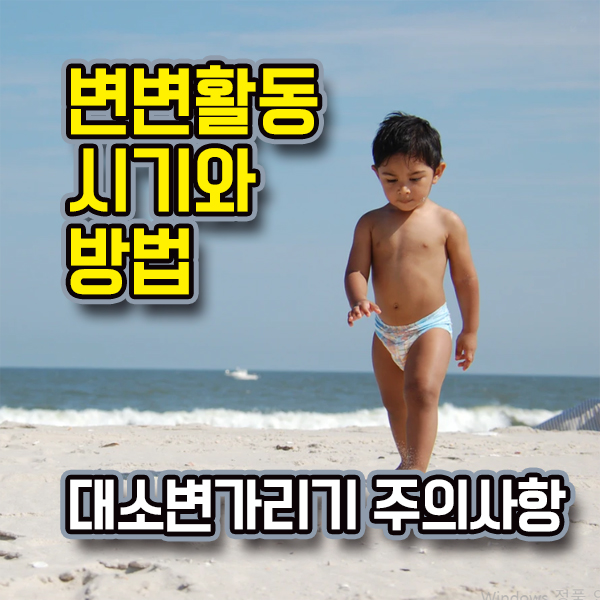  대소변가리기 배변훈련 시기 방법