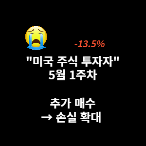  (미국주식 투자) 5월 1주차 점검 : 추가매수로 손실폭 확대 (-13.5%)