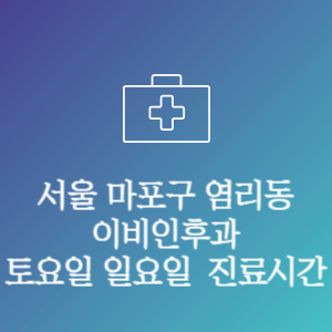 서울 마포구 염리동 이비인후과 주말 토요일 일요일 문여는 병원 진료시간