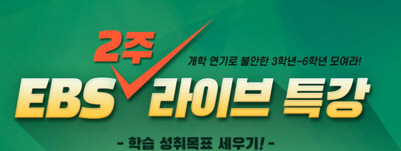  EBS 다시보기 초등 라이브 특강