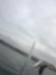 타는 산타할아버지, 배고픈 갈매기, 크리스마스 분위기 제네바 주말일상 - 영어도서관, 자전거 49