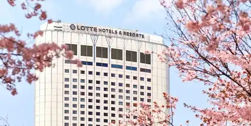 벚꽃 명소 롯데월드호텔