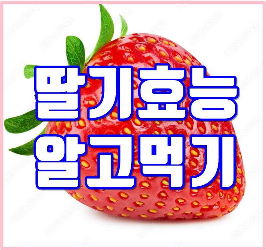  딸기의 효능과 보관방법