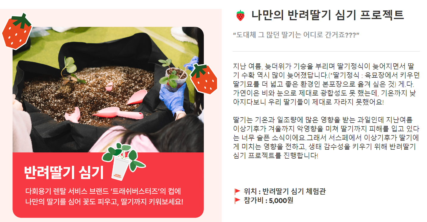 서울스트로베리페스타 체험 프로그램 딸기심기