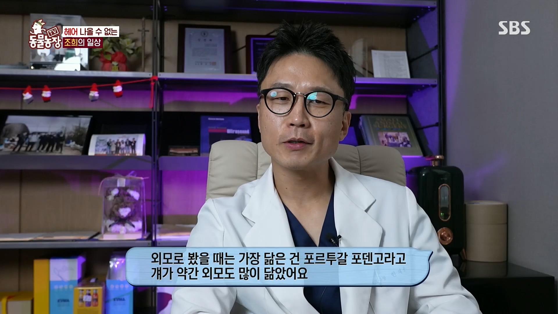 TV 동물농장.E1098.221204p.H264-F1RST.mp4_20221204_175408.729.jpg
