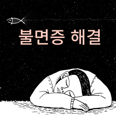 불면증 솔루션
