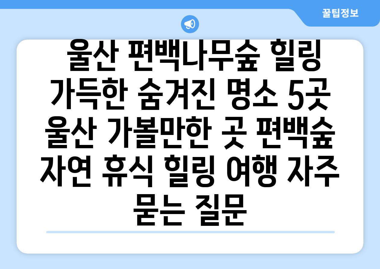  울산 편백나무숲 힐링 가득한 숨겨진 명소 5곳  울산 가볼만한 곳 편백숲 자연 휴식 힐링 여행 자주 묻는 질문