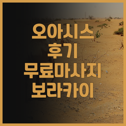 오아시스 리조트 앤드 스파.. 후기가