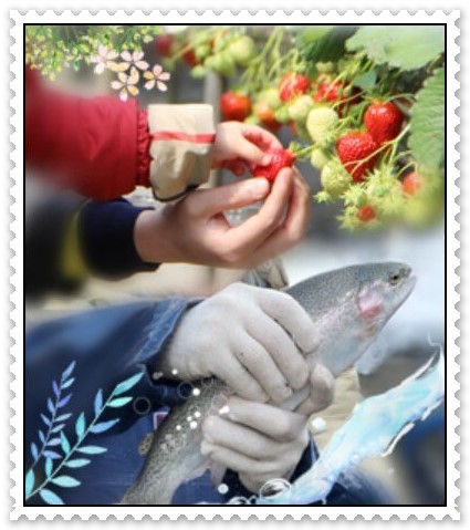 양평딸기송어축제_포스터 (출처 : 양평딸기송어축제 홈페이지)